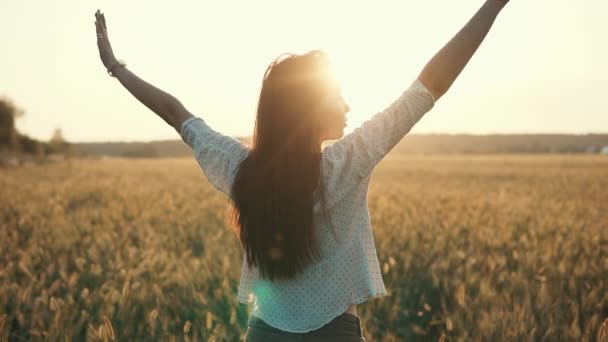 Vue arrière de la fille attrayante dans la prairie . — Video