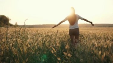 Genç ince kadın gün batımı, arka görünüm altın buğday kulakları arasında yürüyor