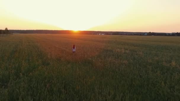Mujer morena joven está caminando sobre el campo en la hora de la puesta del sol, vista aérea — Vídeos de Stock