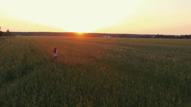 Hermosa chica en el campo solo . — Vídeos de Stock