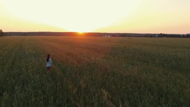 Дівчина насолоджується свободою на відкритому полі . — стокове відео