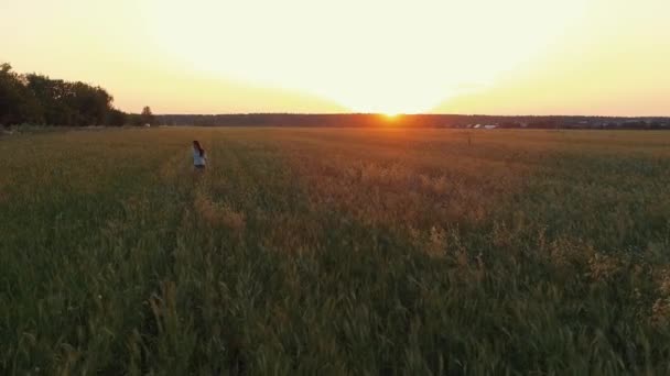 Chica adolescente despreocupada está corriendo sobre el campo en la hora de la puesta del sol, vista desde el dron — Vídeo de stock