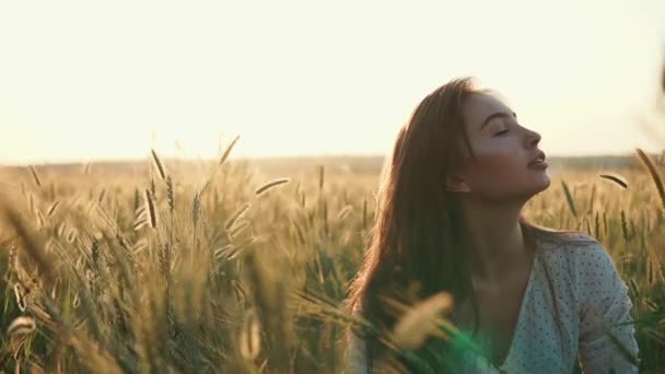 Relajada morena mujer está sentada en el campo con orejas de centeno dorado en la puesta del sol — Vídeo de stock
