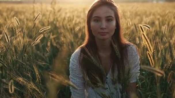 Lonely calm teenage girl is sitting in ears of wheat in summer sunset time — Stock Video