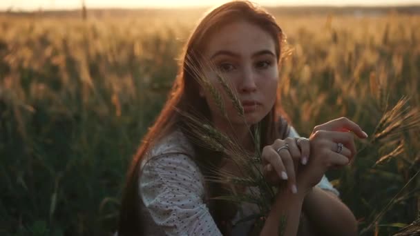 Encantadora joven morena está sentada sola en el campo de trigo maduro en otoño — Vídeo de stock