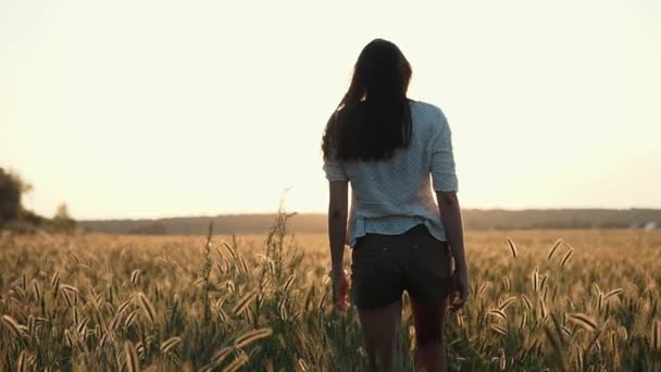 Милая девушка, гуляющая в поле одна. . — стоковое видео