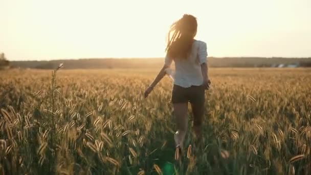 Alegre slim menina está correndo sobre dourado campo no por do sol tempo, levantando as mãos para cima — Vídeo de Stock