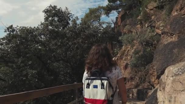 夏に山でハイキングする女性. — ストック動画