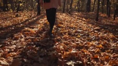 Yalnız esmer kadın güneşli sonbahar gününde ormanda gezinme