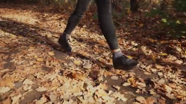 Девочка-подросток гуляет одна в осеннем лесу днем, крупным планом ног — стоковое видео