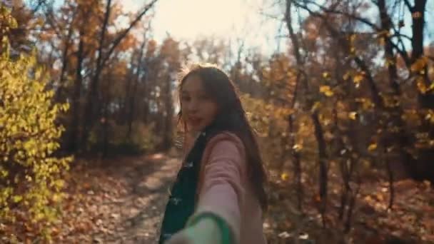 Affascinante ragazza sta tirando la mano del cameraman nella soleggiata foresta autunnale, vista da vicino — Video Stock
