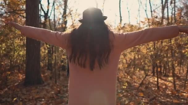 Donna felice sta ammirando la natura del parco autunnale, alzando le mani, vista posteriore — Video Stock