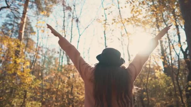 Genç esmer kız sonbahar ormanda yalnız ayakta ve ellerini kaldırma, geri — Stok video