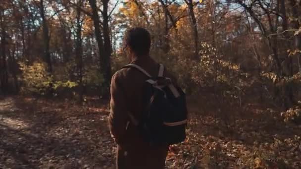 一人ハンサムな男は秋の日に森を通って行く、カメラが周りに移動 — ストック動画