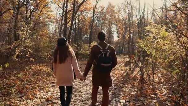 Pareja de amantes está caminando en el día de otoño en el parque, cogidos de la mano, vista trasera — Vídeo de stock