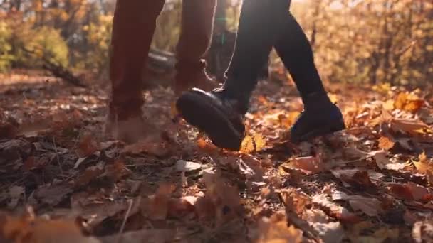 Vista de cerca de los pies masculinos y femeninos están bailando en follaje seco en el bosque — Vídeos de Stock