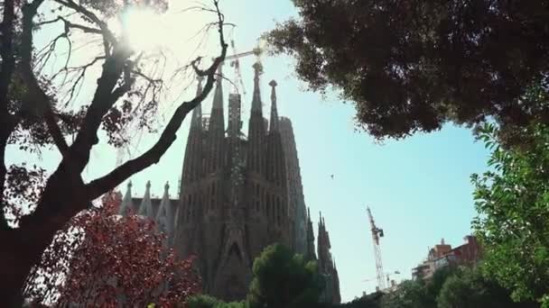 Barcelona, Spanien september 2018: Sagrada Familia katedral. Visa genom grenar av träd i solig dag. — Stockvideo