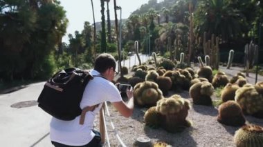 Adam yaz aylarında bahçede yuvarlak kaktüs bitkileri fotoğraflamak olduğunu