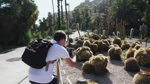 男は夏に庭にサボテンの植物を撮影しています — ストック動画