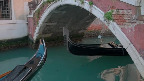 Italia, Venetsia - helmikuu, 2019: Picturesque gondola kahden turistin kanssa ui sillan alla — kuvapankkivideo