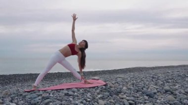 Doğada yoga yapan çalışkan kadın.