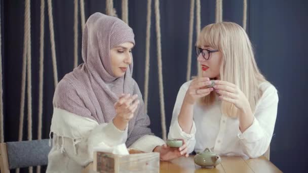 Twee vrouwen die een gesprek hebben in een café. — Stockvideo