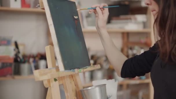 Woman artist painting in studio — Stock Video