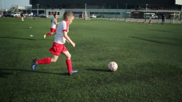 Little football player is kicking ball into goal