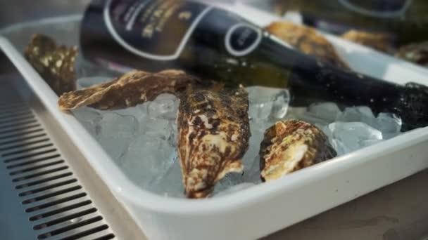 Combinação de ostra preparada com vinho espumante no gelo — Vídeo de Stock