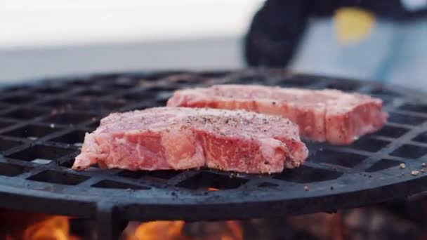Raw steaks are cooking on grid of grill — Stock Video