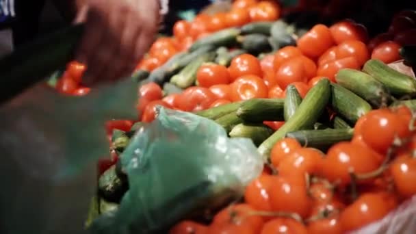 Persoon zet komkommers en tomaten in plastic zak — Stockvideo
