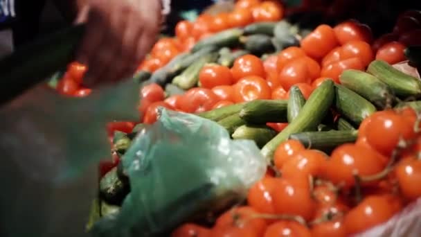 Osoba umísťuje okurky a tomatové do plastového sáčku — Stock video