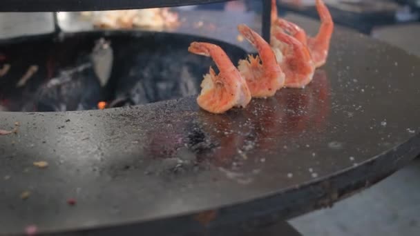 牡蛎烤在明火圆炉支架 — 图库视频影像