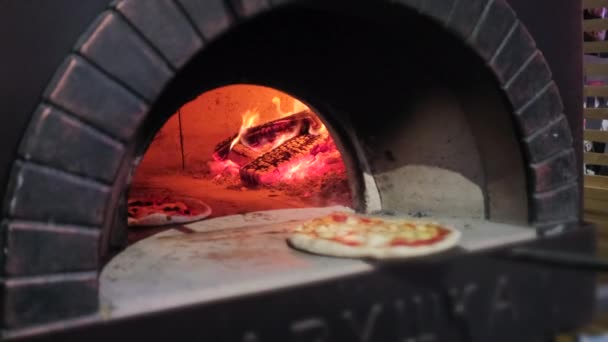 Кухар кладе сиру піцу в цегляну піч в піцерію — стокове відео