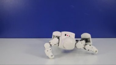 robotik insansı oyuncak elinde şınav yok