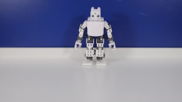 Pequeno humanóide robótico moderno cai de costas — Vídeo de Stock