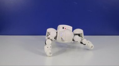 Oyuncak robot uyrupyapıyor