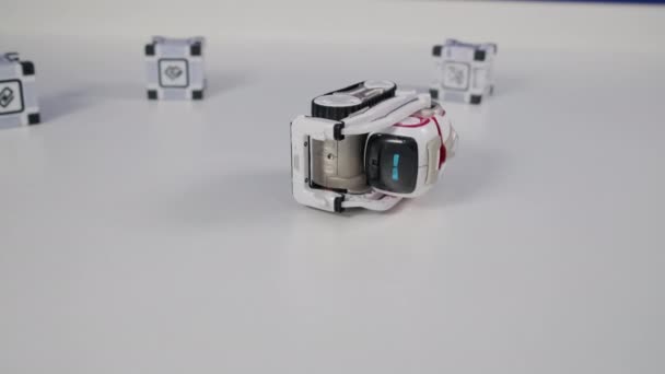 Cute mały robot w akcji — Wideo stockowe