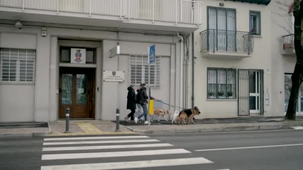 Άνθρωποι περπατούν με σκυλιά στο δρόμο του Ρίμινι, Ιταλία — Αρχείο Βίντεο
