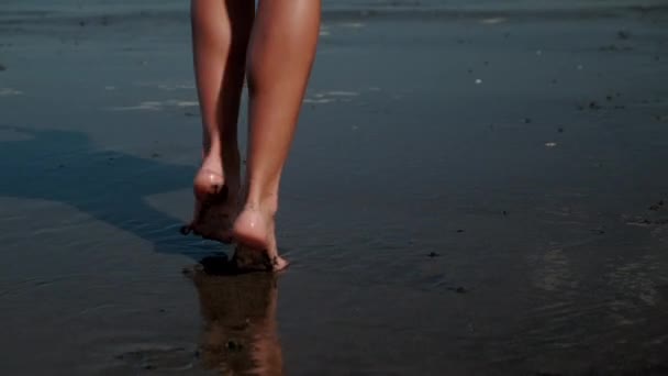 Pies femeninos caminando por la playa — Vídeo de stock