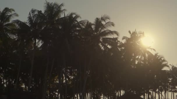 Puesta de sol sobre palmeras en isla tropical — Vídeos de Stock