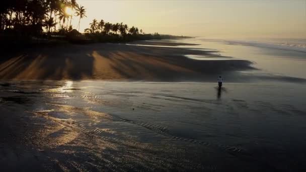 Voyage à vélo aventureux le long de la plage océanique à Bali — Video