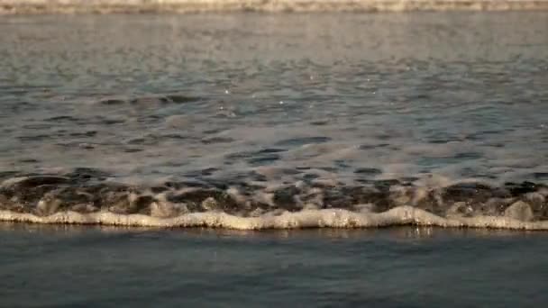 Niska fala przybrzeżna toczy się powoli na plaży oceanicznej — Wideo stockowe
