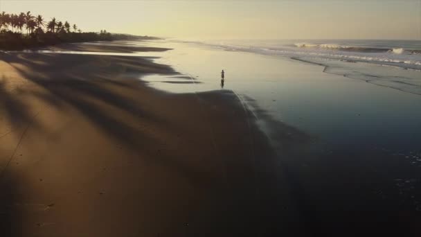 Frihet och äventyr. Flygfoto av cyklist på havet stranden vid solnedgången — Stockvideo
