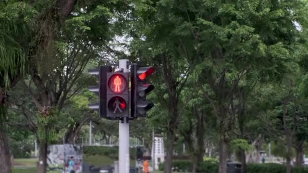 Lampu lalu lintas dengan pejalan kaki merah berubah menjadi hijau — Stok Video