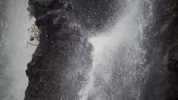 Naturalny wodospad w lesie, zbliżenie kropli — Wideo stockowe