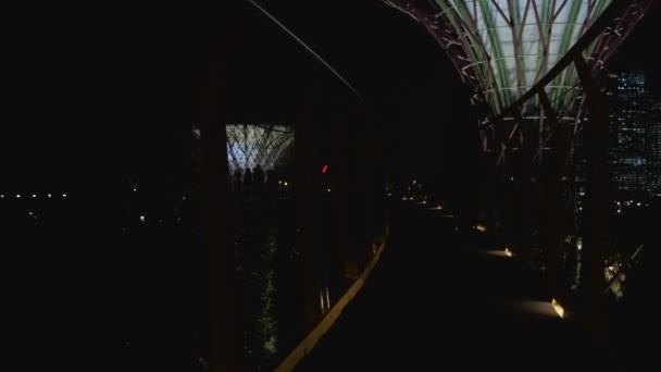 Emozionante passeggiata notturna a Supertree Grove Skyway presso Gardens by the Bay, Singapore — Video Stock