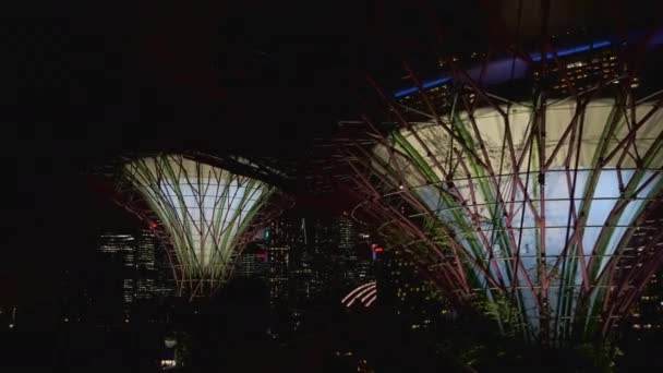 Supertree Grove, vista emozionante di notte. Giardini vicino alla baia di Singapore — Video Stock