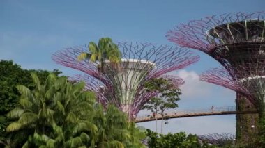 SINGAPORE - 10 Ocak 2020: Körfez kenarındaki Bahçelerdeki Supertree Grove, gündüz vakti doğa parkı