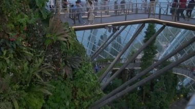 SINGAPORE - 8 Ocak 2020: Körfez kenarındaki Bahçeler 'deki serada ziyaretçi kalabalığı, egzotik bitkiler sergisi